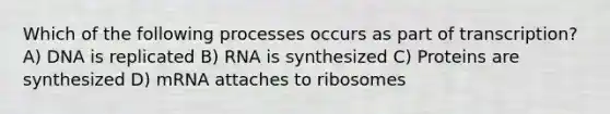 Which of the following processes occurs as part of transcription? A) DNA is replicated B) RNA is synthesized C) Proteins are synthesized D) mRNA attaches to ribosomes