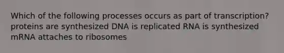 Which of the following processes occurs as part of transcription? proteins are synthesized DNA is replicated RNA is synthesized mRNA attaches to ribosomes