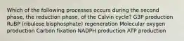 Which of the following processes occurs during the second phase, the reduction phase, of the Calvin cycle? G3P production RuBP (ribulose bisphosphate) regeneration Molecular oxygen production Carbon fixation NADPH production ATP production