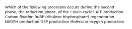 Which of the following processes occurs during the second phase, the reduction phase, of the Calvin cycle? ATP production Carbon fixation RuBP (ribulose bisphosphate) regeneration NADPH production G3P production Molecular oxygen production