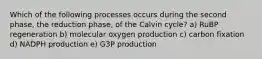 Which of the following processes occurs during the second phase, the reduction phase, of the Calvin cycle? a) RuBP regeneration b) molecular oxygen production c) carbon fixation d) NADPH production e) G3P production