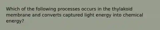 Which of the following processes occurs in the thylakoid membrane and converts captured light energy into chemical energy?