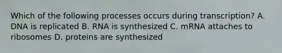 Which of the following processes occurs during transcription? A. DNA is replicated B. RNA is synthesized C. mRNA attaches to ribosomes D. proteins are synthesized