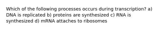 Which of the following processes occurs during transcription? a) DNA is replicated b) proteins are synthesized c) RNA is synthesized d) mRNA attaches to ribosomes