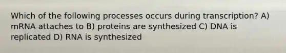 Which of the following processes occurs during transcription? A) mRNA attaches to B) proteins are synthesized C) DNA is replicated D) RNA is synthesized