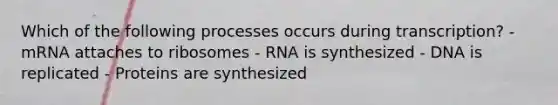 Which of the following processes occurs during transcription? - mRNA attaches to ribosomes - RNA is synthesized - DNA is replicated - Proteins are synthesized