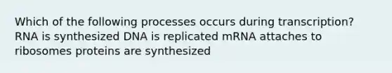 Which of the following processes occurs during transcription? RNA is synthesized DNA is replicated mRNA attaches to ribosomes proteins are synthesized