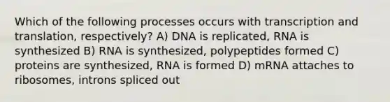 Which of the following processes occurs with <a href='https://www.questionai.com/knowledge/kWsjwWywkN-transcription-and-translation' class='anchor-knowledge'>transcription and translation</a>, respectively? A) DNA is replicated, RNA is synthesized B) RNA is synthesized, polypeptides formed C) proteins are synthesized, RNA is formed D) mRNA attaches to ribosomes, introns spliced out