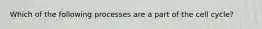 Which of the following processes are a part of the cell cycle?