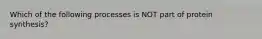 Which of the following processes is NOT part of protein synthesis?