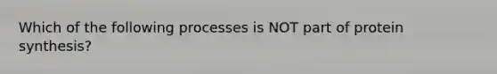 Which of the following processes is NOT part of protein synthesis?