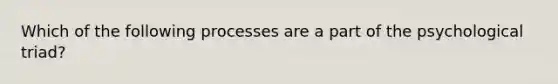 Which of the following processes are a part of the psychological triad?