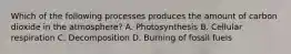 Which of the following processes produces the amount of carbon dioxide in the atmosphere? A. Photosynthesis B. Cellular respiration C. Decomposition D. Burning of fossil fuels