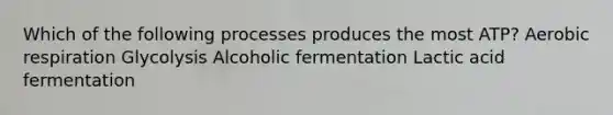 Which of the following processes produces the most ATP? Aerobic respiration Glycolysis Alcoholic fermentation Lactic acid fermentation