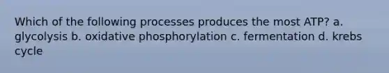 Which of the following processes produces the most ATP? a. glycolysis b. oxidative phosphorylation c. fermentation d. krebs cycle