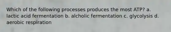 Which of the following processes produces the most ATP? a. lactic acid fermentation b. alcholic fermentation c. glycolysis d. aerobic respiration