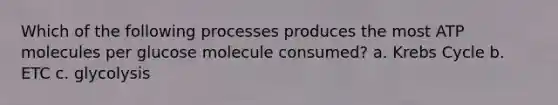 Which of the following processes produces the most ATP molecules per glucose molecule consumed? a. <a href='https://www.questionai.com/knowledge/kqfW58SNl2-krebs-cycle' class='anchor-knowledge'>krebs cycle</a> b. ETC c. glycolysis