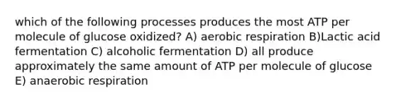 which of the following processes produces the most ATP per molecule of glucose oxidized? A) <a href='https://www.questionai.com/knowledge/kyxGdbadrV-aerobic-respiration' class='anchor-knowledge'>aerobic respiration</a> B)Lactic acid fermentation C) alcoholic fermentation D) all produce approximately the same amount of ATP per molecule of glucose E) anaerobic respiration