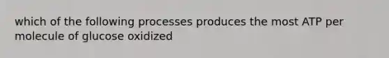 which of the following processes produces the most ATP per molecule of glucose oxidized