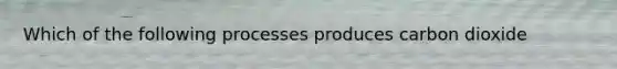 Which of the following processes produces carbon dioxide