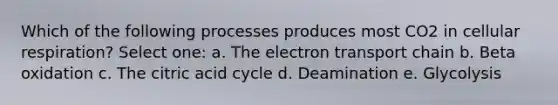 Which of the following processes produces most CO2 in cellular respiration? Select one: a. The electron transport chain b. Beta oxidation c. The citric acid cycle d. Deamination e. Glycolysis