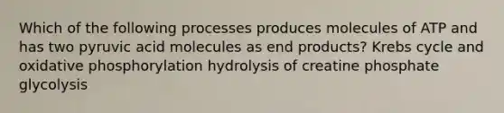 Which of the following processes produces molecules of ATP and has two pyruvic acid molecules as end products? Krebs cycle and oxidative phosphorylation hydrolysis of creatine phosphate glycolysis