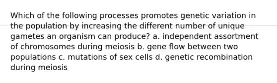 Which of the following processes promotes genetic variation in the population by increasing the different number of unique gametes an organism can produce? a. independent assortment of chromosomes during meiosis b. gene flow between two populations c. mutations of sex cells d. genetic recombination during meiosis