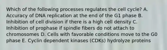 Which of the following processes regulates the cell cycle? A. Accuracy of DNA replication at the end of the G1 phase B. Inhibition of cell division if there is a high cell density C. Inhibition of prophase if spindle fibers do not attach to chromosomes D. Cells with favorable conditions move to the G0 phase E. Cyclin dependent kinases (CDKs) hydrolyze proteins