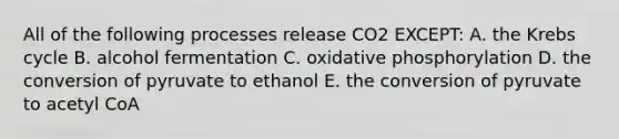 All of the following processes release CO2 EXCEPT: A. the Krebs cycle B. alcohol fermentation C. oxidative phosphorylation D. the conversion of pyruvate to ethanol E. the conversion of pyruvate to acetyl CoA