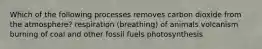 Which of the following processes removes carbon dioxide from the atmosphere? respiration (breathing) of animals volcanism burning of coal and other fossil fuels photosynthesis