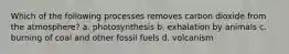 Which of the following processes removes carbon dioxide from the atmosphere? a. photosynthesis b. exhalation by animals c. burning of coal and other fossil fuels d. volcanism