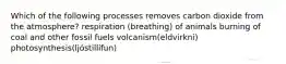 Which of the following processes removes carbon dioxide from the atmosphere? respiration (breathing) of animals burning of coal and other fossil fuels volcanism(eldvirkni) photosynthesis(ljóstillífun)