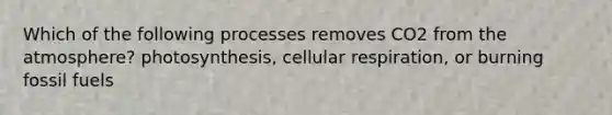 Which of the following processes removes CO2 from the atmosphere? photosynthesis, <a href='https://www.questionai.com/knowledge/k1IqNYBAJw-cellular-respiration' class='anchor-knowledge'>cellular respiration</a>, or burning fossil fuels