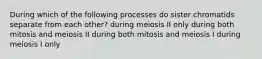 During which of the following processes do sister chromatids separate from each other? during meiosis II only during both mitosis and meiosis II during both mitosis and meiosis I during meiosis I only