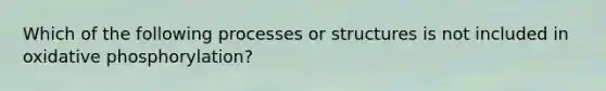 Which of the following processes or structures is not included in oxidative phosphorylation?