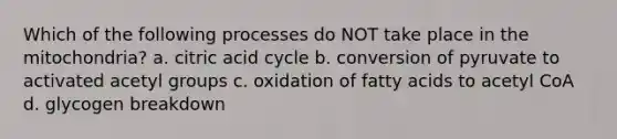 Which of the following processes do NOT take place in the mitochondria? a. citric acid cycle b. conversion of pyruvate to activated acetyl groups c. oxidation of fatty acids to acetyl CoA d. glycogen breakdown