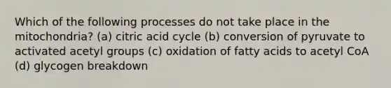 Which of the following processes do not take place in the mitochondria? (a) citric acid cycle (b) conversion of pyruvate to activated acetyl groups (c) oxidation of fatty acids to acetyl CoA (d) glycogen breakdown