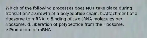 Which of the following processes does NOT take place during translation? a.Growth of a polypeptide chain. b.Attachment of a ribosome to mRNA. c.Binding of two tRNA molecules per ribosome. d.Liberation of polypeptide from the ribosome. e.Production of mRNA