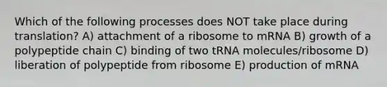 Which of the following processes does NOT take place during translation? A) attachment of a ribosome to mRNA B) growth of a polypeptide chain C) binding of two tRNA molecules/ribosome D) liberation of polypeptide from ribosome E) production of mRNA