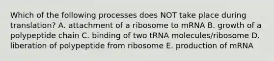 Which of the following processes does NOT take place during translation? A. attachment of a ribosome to mRNA B. growth of a polypeptide chain C. binding of two tRNA molecules/ribosome D. liberation of polypeptide from ribosome E. production of mRNA