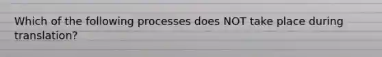 Which of the following processes does NOT take place during translation?