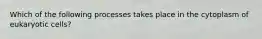 Which of the following processes takes place in the cytoplasm of eukaryotic cells?