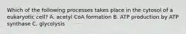 Which of the following processes takes place in the cytosol of a eukaryotic cell? A. acetyl CoA formation B. ATP production by ATP synthase C. glycolysis