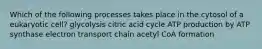 Which of the following processes takes place in the cytosol of a eukaryotic cell? glycolysis citric acid cycle ATP production by ATP synthase electron transport chain acetyl CoA formation