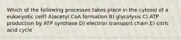 Which of the following processes takes place in the cytosol of a eukaryotic cell? A)acetyl CoA formation B) glycolysis C) ATP production by ATP synthase D) electron transport chain E) citric acid cycle