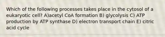 Which of the following processes takes place in the cytosol of a eukaryotic cell? A)acetyl CoA formation B) glycolysis C) ATP production by ATP synthase D) electron transport chain E) citric acid cycle