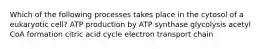 Which of the following processes takes place in the cytosol of a eukaryotic cell? ATP production by ATP synthase glycolysis acetyl CoA formation citric acid cycle electron transport chain