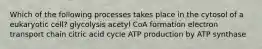 Which of the following processes takes place in the cytosol of a eukaryotic cell? glycolysis acetyl CoA formation electron transport chain citric acid cycle ATP production by ATP synthase