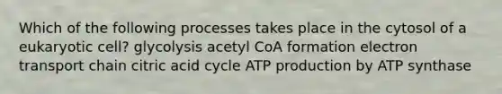 Which of the following processes takes place in the cytosol of a eukaryotic cell? glycolysis acetyl CoA formation electron transport chain citric acid cycle <a href='https://www.questionai.com/knowledge/kQXM5vFKbG-atp-production' class='anchor-knowledge'>atp production</a> by ATP synthase