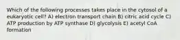 Which of the following processes takes place in the cytosol of a eukaryotic cell? A) electron transport chain B) citric acid cycle C) ATP production by ATP synthase D) glycolysis E) acetyl CoA formation